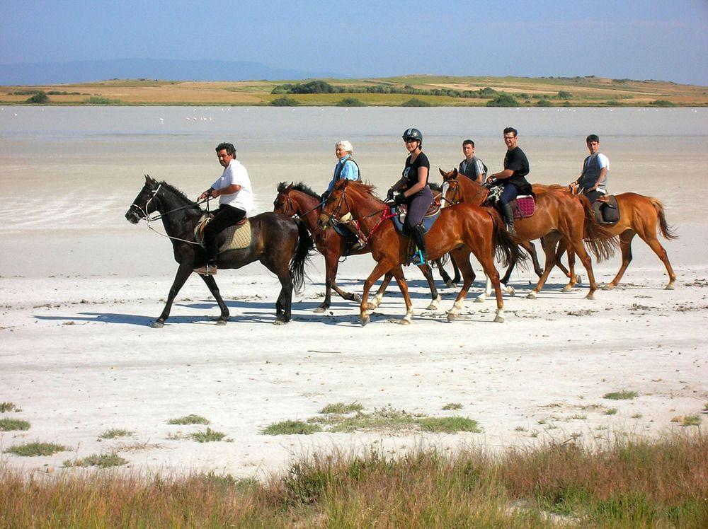 Horse Country Resort Congress & Spa - Hotel Ribot Arborea Eksteriør bilde