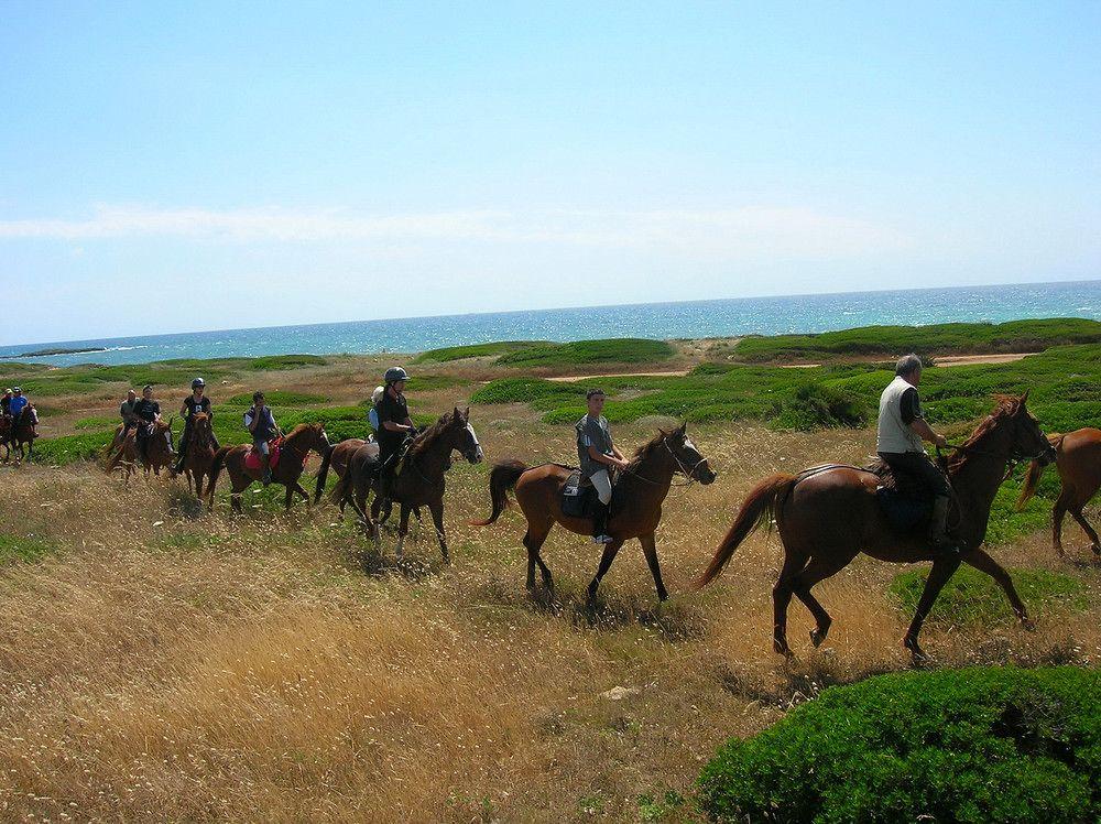 Horse Country Resort Congress & Spa - Hotel Ribot Arborea Eksteriør bilde