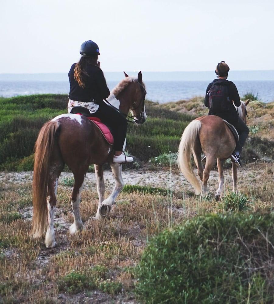 Horse Country Resort Congress & Spa - Hotel Ribot Arborea Eksteriør bilde