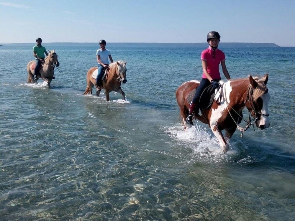 Horse Country Resort Congress & Spa - Hotel Ribot Arborea Eksteriør bilde