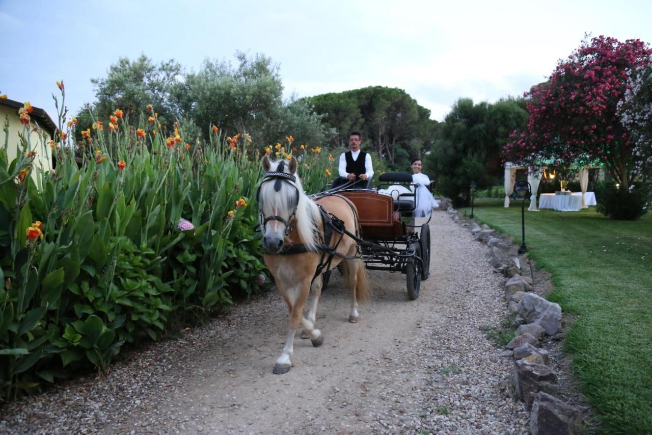 Horse Country Resort Congress & Spa - Hotel Ribot Arborea Eksteriør bilde